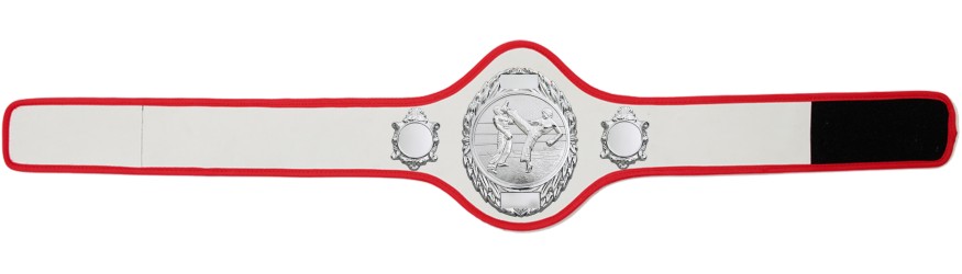 KICKBOXING CHAMPIONSHIP BELT-PRO286/S/KBOS-10+ COLOURS